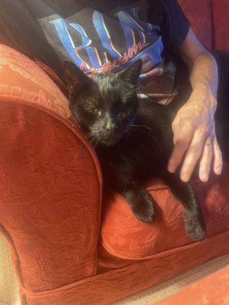 Thread 9 Starmer : Return to Westminster