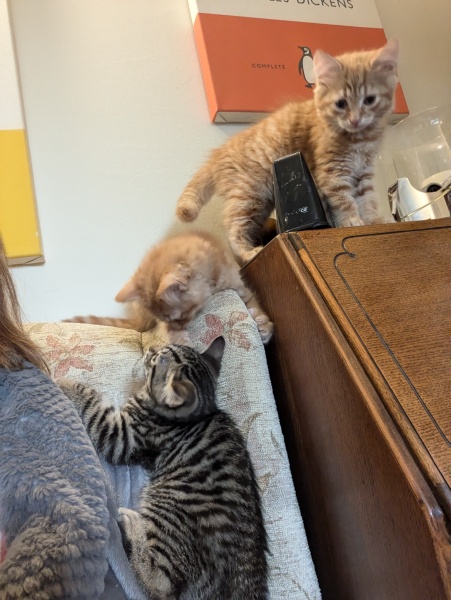 The Autumnal Christmas Chronicles Preamble - Thread 2 further ramblings