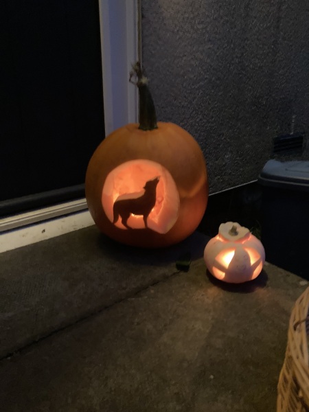Show us your pumpkins!