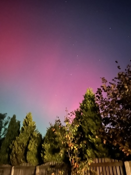 Northern lights currently visible!