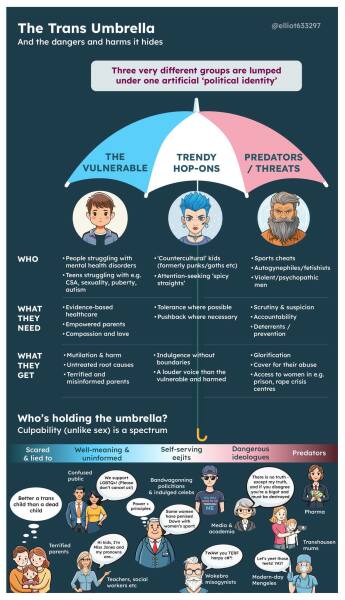 Trans umbrella diagram by Elliot Ranch