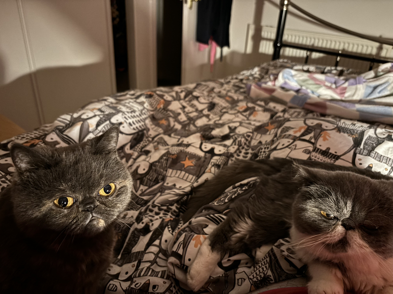 Magnificent Moustaches