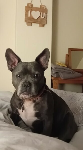 The Continuing Support Thread for Anyone Trying to Lead an Alcohol-Free Life Autumn 2024