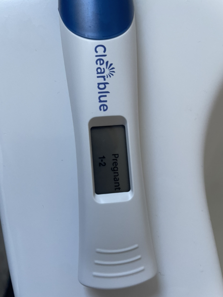 6dpo
