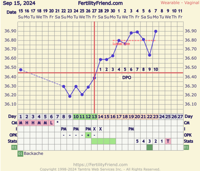 Implantation dip - BFP or BFN?
