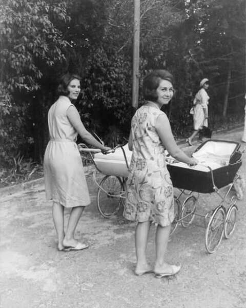 Royal Style: Welcome to the Court of the Dragon Queen!