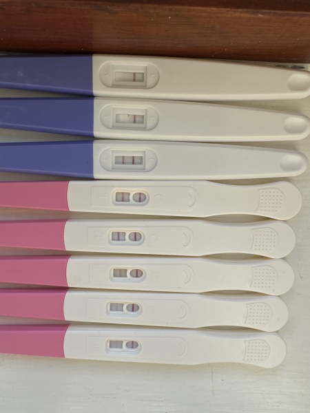 I took the morning after pill two days before ovulation