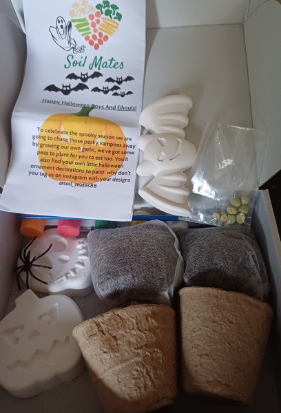 To not do 'Elf on the shelf'