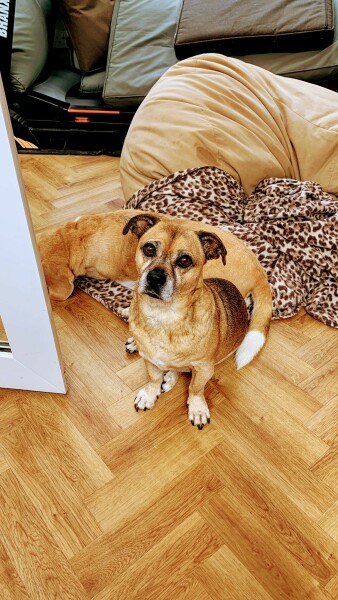 Thread 9 Starmer : Return to Westminster