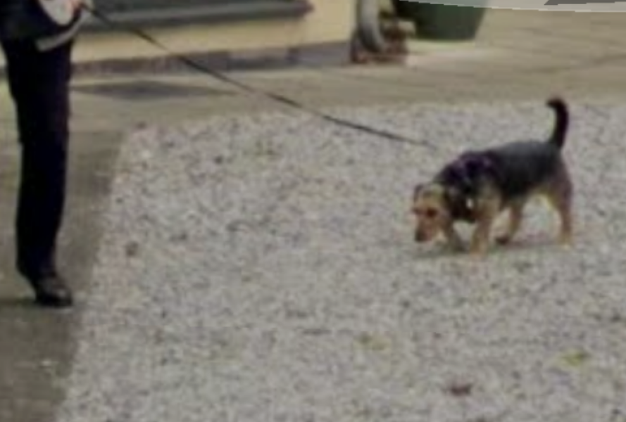 Do they ever come back? Devastated. Following on. Endless winter.