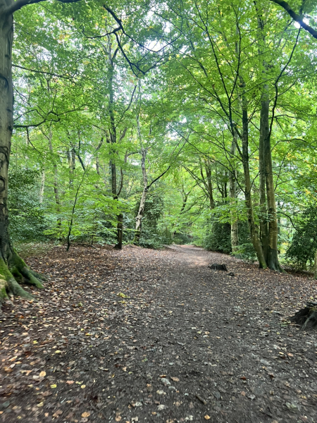 Mounjaro August Starters 6