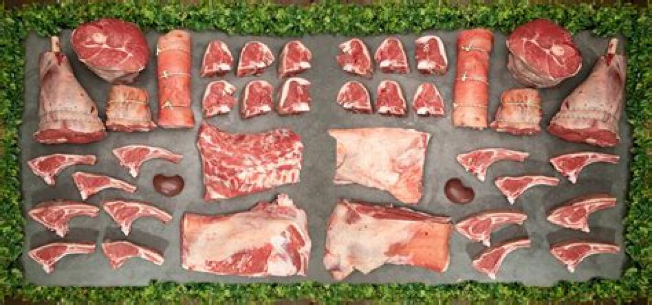 Autumn leaves, crackling fires, quokkas and puffins at the Bluestocking.