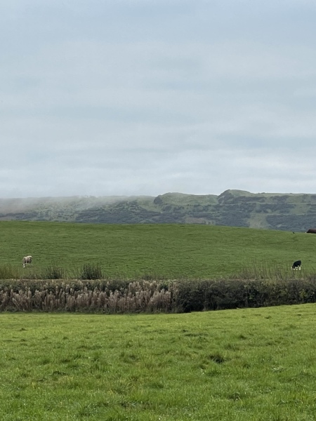 The Nigel Slater Christmas Chronicles Readalong 2024