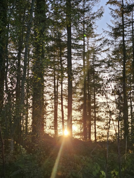 The Autumnal Christmas Chronicles Preamble - Thread 2 further ramblings