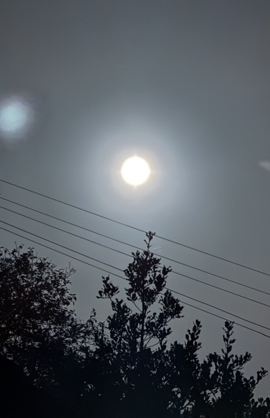 Hunter Supermoon Tonight