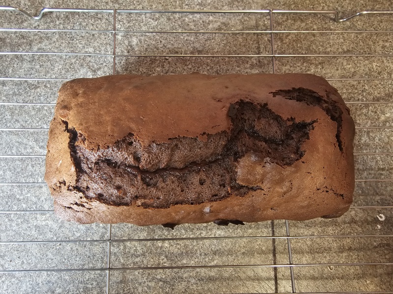 Poncetastic Christmas 2024