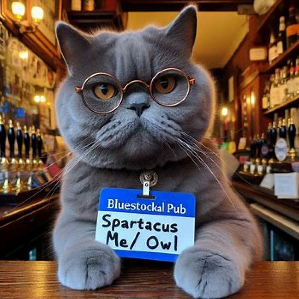 Bluestocking! The Gerbical