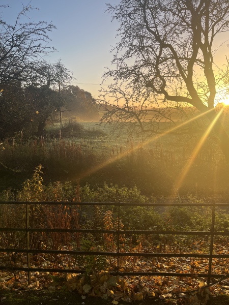 The Nigel Slater Christmas Chronicles Readalong 2024