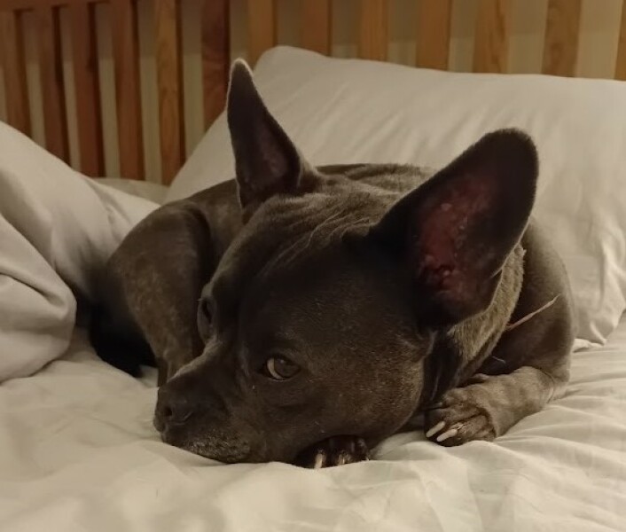 The Continuing Support Thread for Anyone Trying to Lead an Alcohol-Free Life Autumn 2024