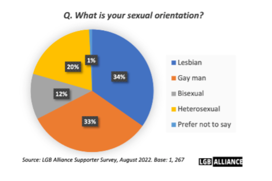 LGB Alliance  conference disrupted by TRAs
