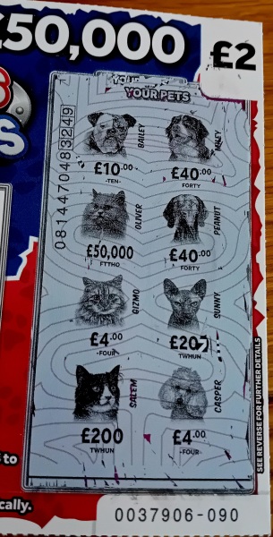 Flounders or Flouncers? The Excellent Cats continue their important debate