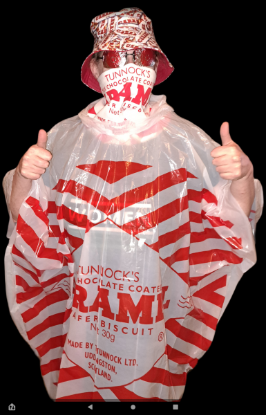 Autumn leaves, crackling fires, quokkas and puffins at the Bluestocking.