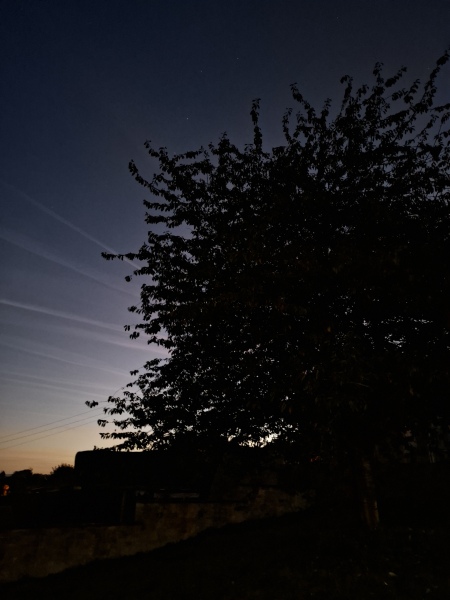 The Nigel Slater Christmas Chronicles Readalong 2024