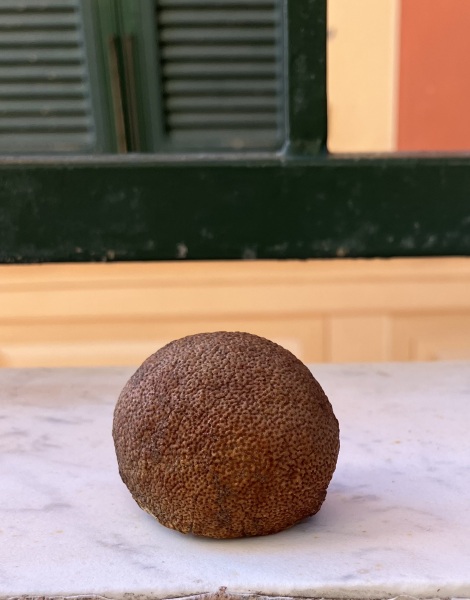 Our Flag Means Death - Thread 4: Roll up, roll up! Come join us for more pirate obsession!