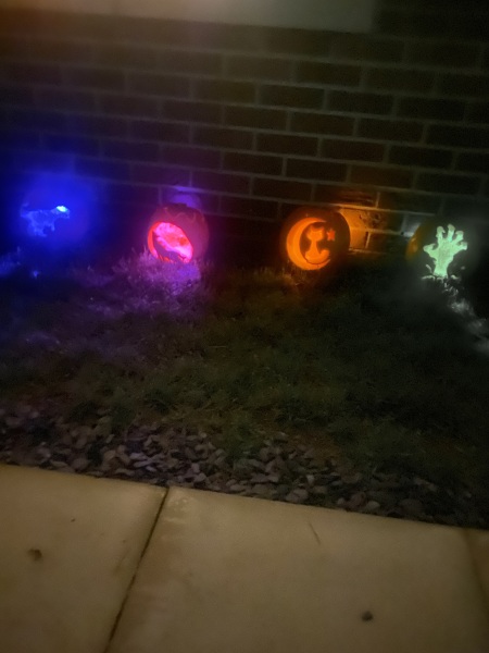 Halloween deco/ pumpkins 2024.