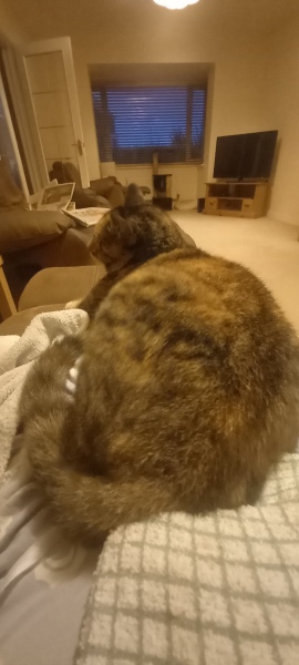 Thread 10 Starmer: First Female Chancellor delivers the Budget