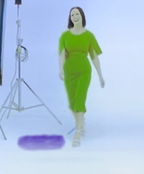 Please help me find this dress