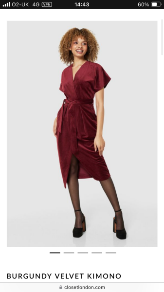 Please help me find THE velvet dress