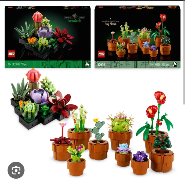 Creative Presents for 15 yr old DD