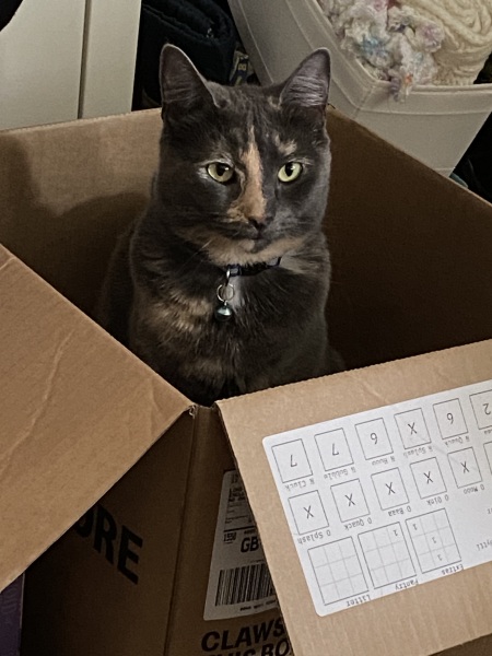 Flounders or Flouncers? The Excellent Cats continue their important debate