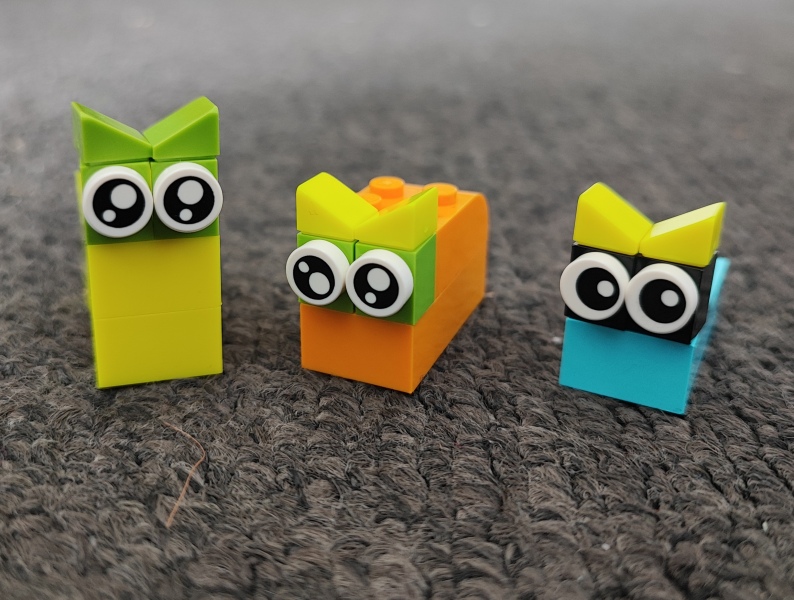 To show me your Lego collection?