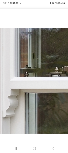 Restrictors on sash windows - anything I need to know ?