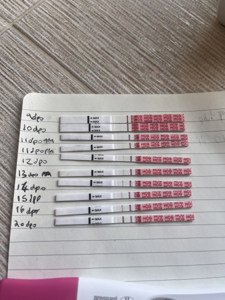 Wondfo tests - *help* please