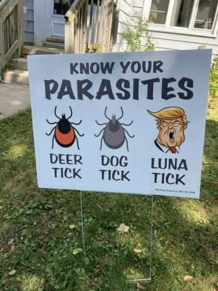 What's True Pussycat? - Trump Thread #134