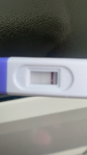 6dpo