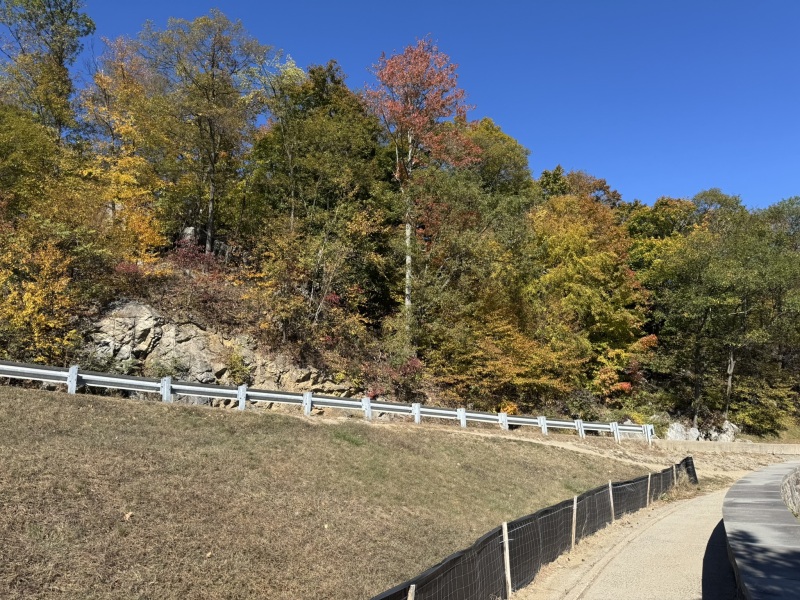 Come and tell me your dull and unexciting news 31: Calmly through the day