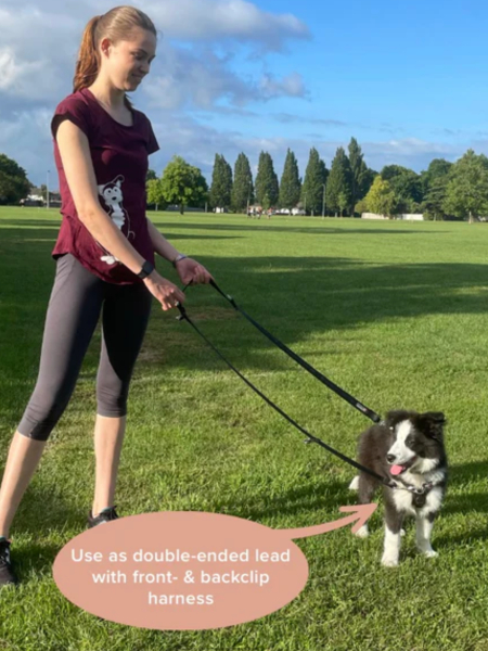Dog barking on walks