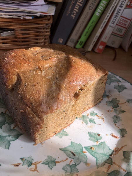 Poncetastic Christmas 2024