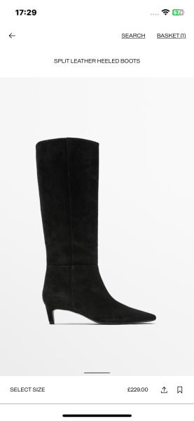 Sleek pointed boots