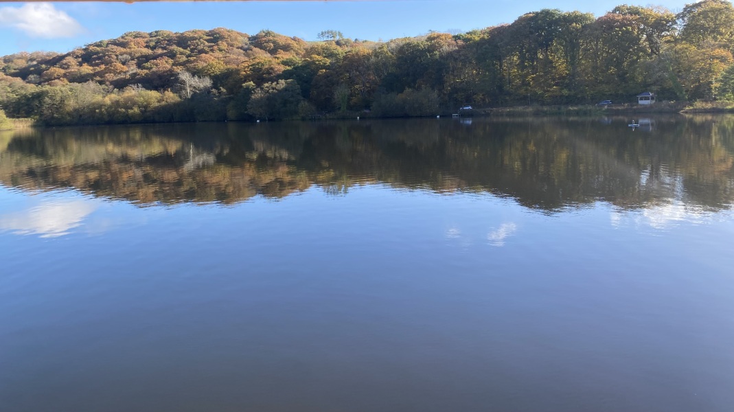 Come and tell me your dull and unexciting news 31: Calmly through the day