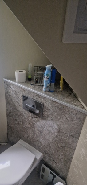 Would you rather have a downstairs toilet or laundry room?