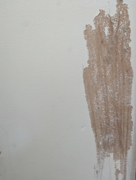Extension bathroom mould/damp - how did you fix yours?