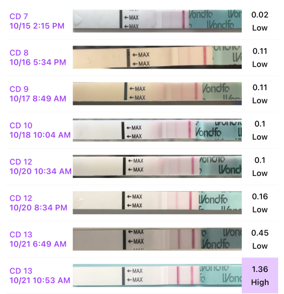 TTC FIRST BABY - New cycle, let's go girls !