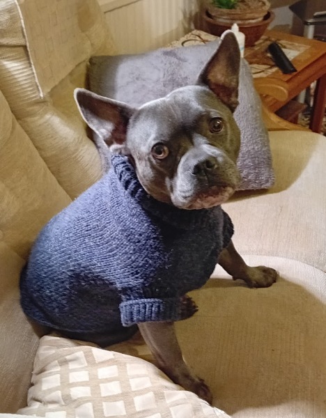 The Continuing Support Thread for Anyone Trying to Lead an Alcohol-Free Life Autumn 2024