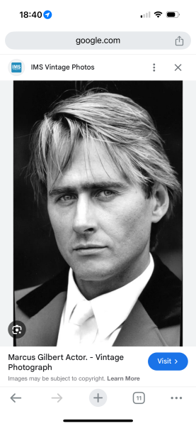 Jilly Cooper's Rivals on Disney - episode 1 discussion thread WITH SPOILERS! Open the Pouilly Fume & curl up on the sofa with a lurcher puppy here!