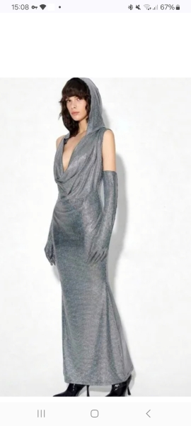 Could I turn this silver dress into a Halloween outfit!? Last minute party invite
